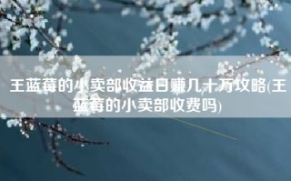 王蓝莓的小卖部收益日赚几十万攻略(王蓝莓的小卖部收费吗)