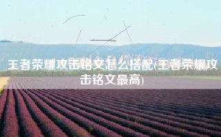 王者荣耀攻击铭文怎么搭配(王者荣耀攻击铭文最高)