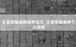 王者荣耀易峥伽罗铭文_王者荣耀易峥个人资料