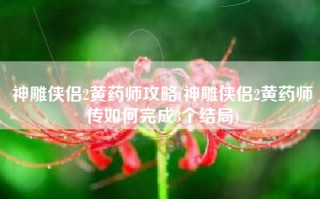 神雕侠侣2黄药师攻略(神雕侠侣2黄药师传如何完成3个结局)