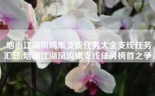 烟雨江湖凤鸣集支线任务大全支线任务汇总(烟雨江湖凤鸣集支线任务榜首之争)