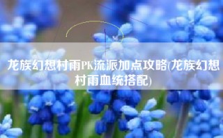 龙族幻想村雨PK流派加点攻略(龙族幻想村雨血统搭配)