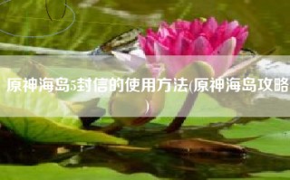 原神海岛5封信的使用方法(原神海岛攻略)