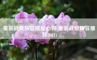 重装战姬阵容搭配心得(重装战姬阵容推荐2021)