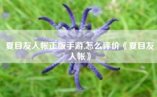 夏目友人帐正版手游,怎么评价《夏目友人帐》