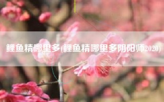 鲤鱼精哪里多(鲤鱼精哪里多阴阳师2020)