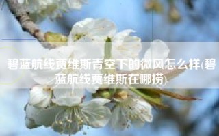 碧蓝航线贾维斯青空下的微风怎么样(碧蓝航线贾维斯在哪捞)