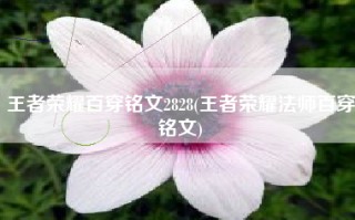 王者荣耀百穿铭文2828(王者荣耀法师百穿铭文)
