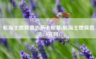 航海王燃烧意志萨卡斯基(航海王燃烧意志2.0官网)