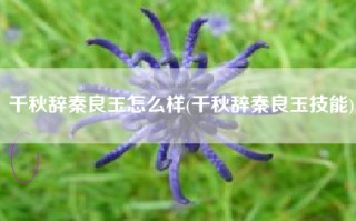 千秋辞秦良玉怎么样(千秋辞秦良玉技能)