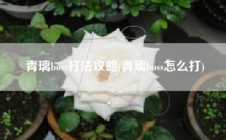 青璃boss打法攻略(青璃boss怎么打)