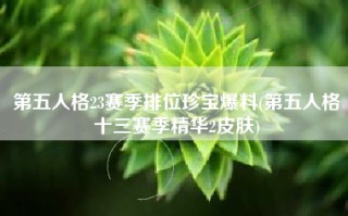 第五人格23赛季排位珍宝爆料(第五人格十三赛季精华2皮肤)