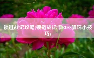 锁链战记攻略(锁链战记卡BOSS骗珠小技巧)