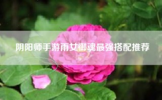 阴阳师手游雨女御魂最强搭配推荐