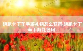 跑跑卡丁车手游礼物怎么获得(跑跑卡丁车手游礼包码)
