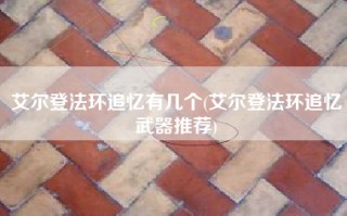 艾尔登法环追忆有几个(艾尔登法环追忆武器推荐)