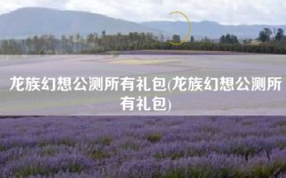 龙族幻想公测所有礼包(龙族幻想公测所有礼包)