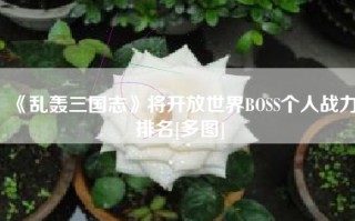 《乱轰三国志》将开放世界BOSS个人战力排名[多图]