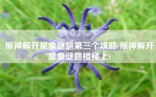 原神解开星象谜题第三个攻略(原神解开星象谜题楼梯上)