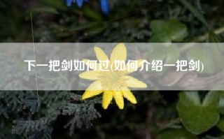 下一把剑如何过(如何介绍一把剑)