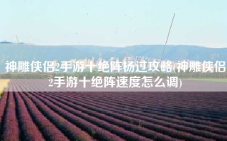 神雕侠侣2手游十绝阵杨过攻略(神雕侠侣2手游十绝阵速度怎么调)