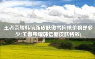 王者荣耀韩信新皮肤傲雪梅枪价格是多少(王者荣耀韩信新皮肤特效)