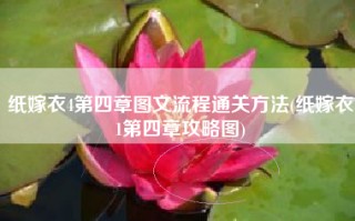 纸嫁衣4第四章图文流程通关方法(纸嫁衣1第四章攻略图)