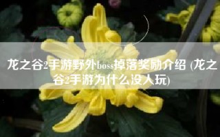 龙之谷2手游野外boss掉落奖励介绍 (龙之谷2手游为什么没人玩)