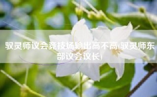 驭灵师议会竞技场输出高不高(驭灵师东部议会议长)