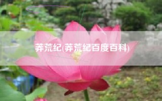 莽荒纪(莽荒纪百度百科)