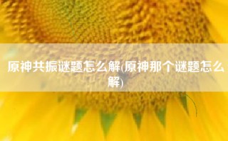 原神共振谜题怎么解(原神那个谜题怎么解)