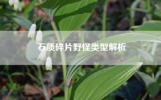 石质碎片野怪类型解析