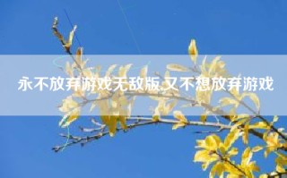 永不放弃游戏无敌版,又不想放弃游戏