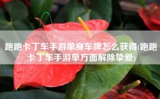 跑跑卡丁车手游单身车牌怎么获得(跑跑卡丁车手游单方面解除挚爱)