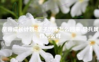 皇帝成长计划2皇子历练怎么回来-总兵属性怎么样