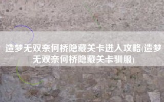 造梦无双奈何桥隐藏关卡进入攻略(造梦无双奈何桥隐藏关卡驯服)