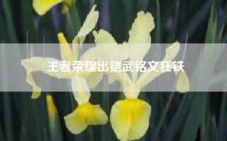 王者荣耀出铠武铭文狂铁