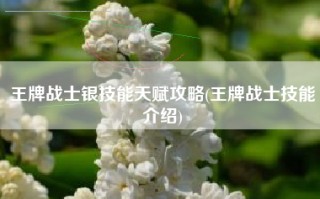 王牌战士银技能天赋攻略(王牌战士技能介绍)