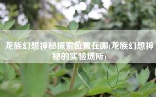 龙族幻想神秘探索位置在哪(龙族幻想神秘的实验场所)