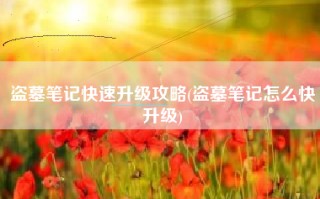 盗墓笔记快速升级攻略(盗墓笔记怎么快升级)