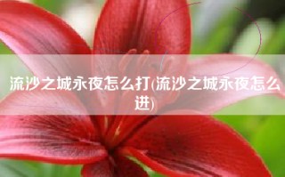 流沙之城永夜怎么打(流沙之城永夜怎么进)