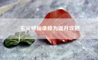 玄元修仙录修为提升攻略