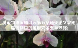 魔镜物语沉睡诅咒第五章通关图文攻略(魔镜物语沉睡诅咒第五章攻略)