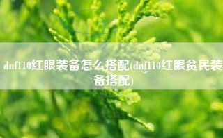 dnf110红眼装备怎么搭配(dnf110红眼贫民装备搭配)