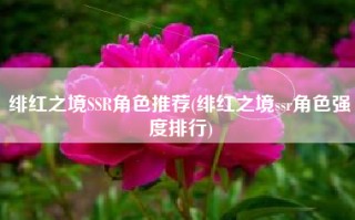 绯红之境SSR角色推荐(绯红之境ssr角色强度排行)