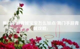 蜀门手游青城宝宝怎么加点(蜀门手游青城攻略)
