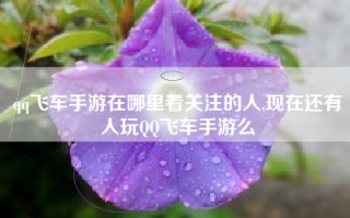 qq飞车手游在哪里看关注的人,现在还有人玩QQ飞车手游么
