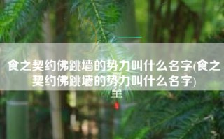 食之契约佛跳墙的势力叫什么名字(食之契约佛跳墙的势力叫什么名字)