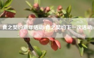 食之契约新年活动(食之契约下一次活动)