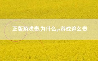 正版游戏贵,为什么ps游戏这么贵